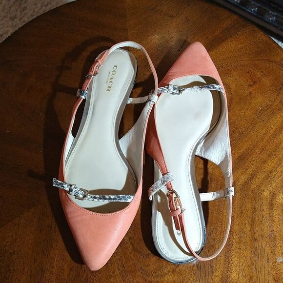 COACH WOOSTER POINTED TOE LEATHER FLAT WOMEN"S SANDAL - Picture 5 of 12